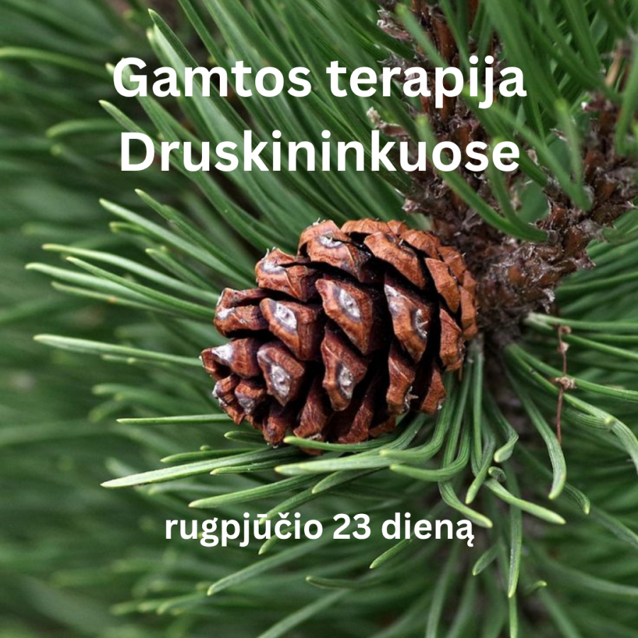 ,,Gamtos terapija Druskininkuose"