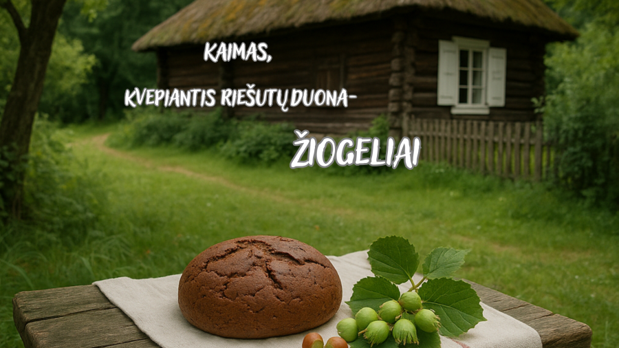 Kaimas, kvepiantis riešutų duona - Žiogeliai