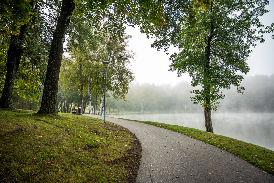 Ypatingieji Druskininkų medžiai