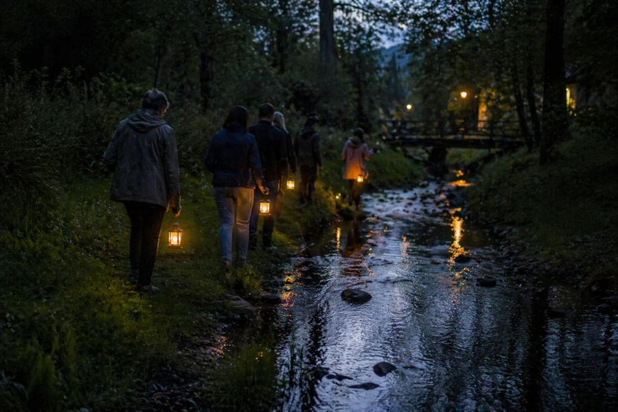 Vakarinė gamtos terapija Druskininkuose