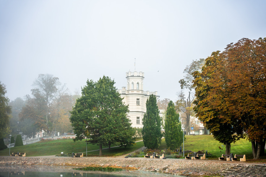 Ypatingieji Druskininkų medžiai