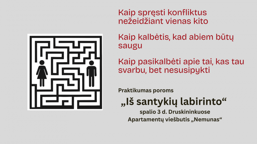 Praktikumas poroms „Iš santykių labirinto"