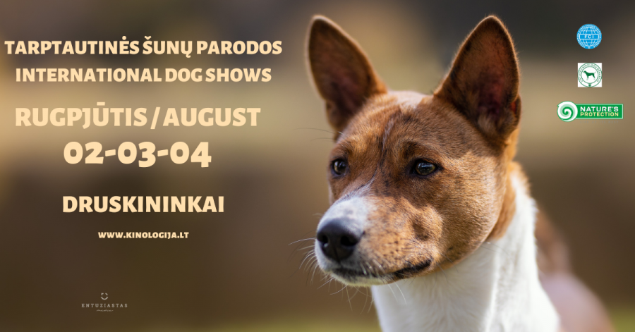 International dog show