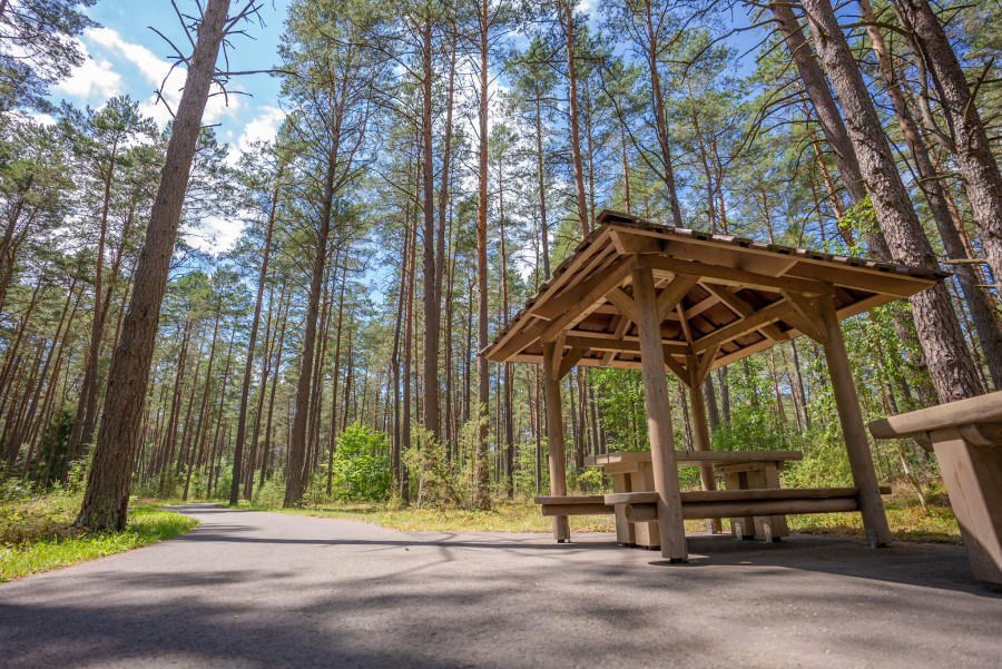 Dviračių takas „Žvaigdžių orbita“