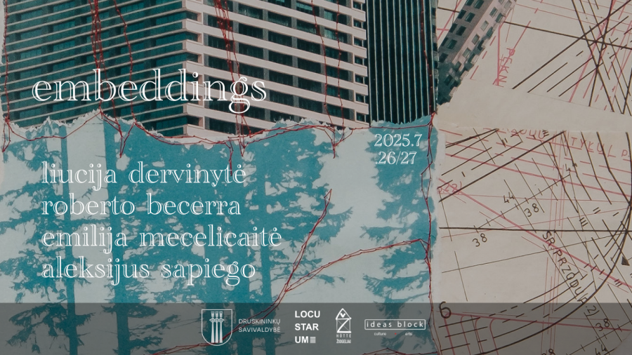 Čiurlionis ir čipsai vol. 5: Embeddings