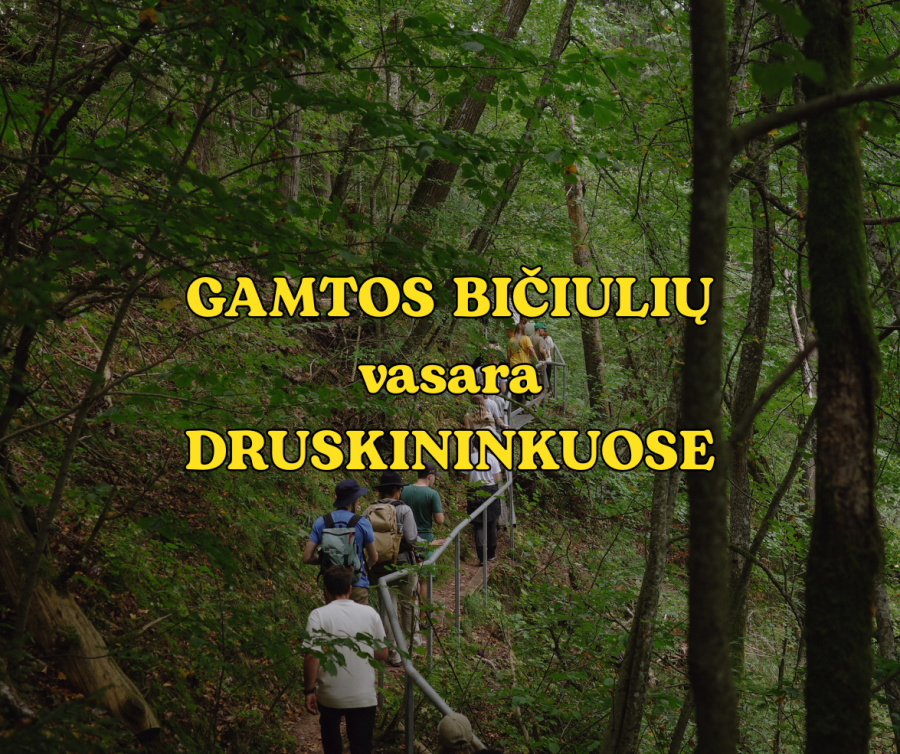 Gamtos bičiulių vasara Druskininkuose