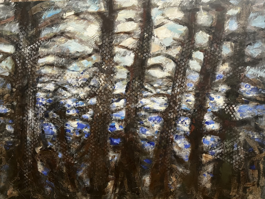 Kristinos Čivilytės tapybos paroda "Čia mūsų žemė"