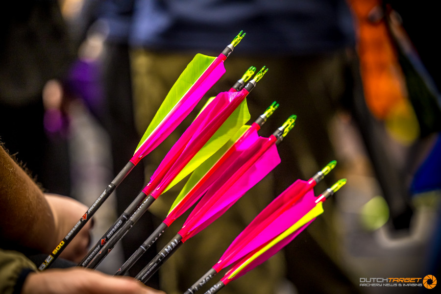 Tarptautinės šaudymo iš lanko varžybos "Best Indoor"